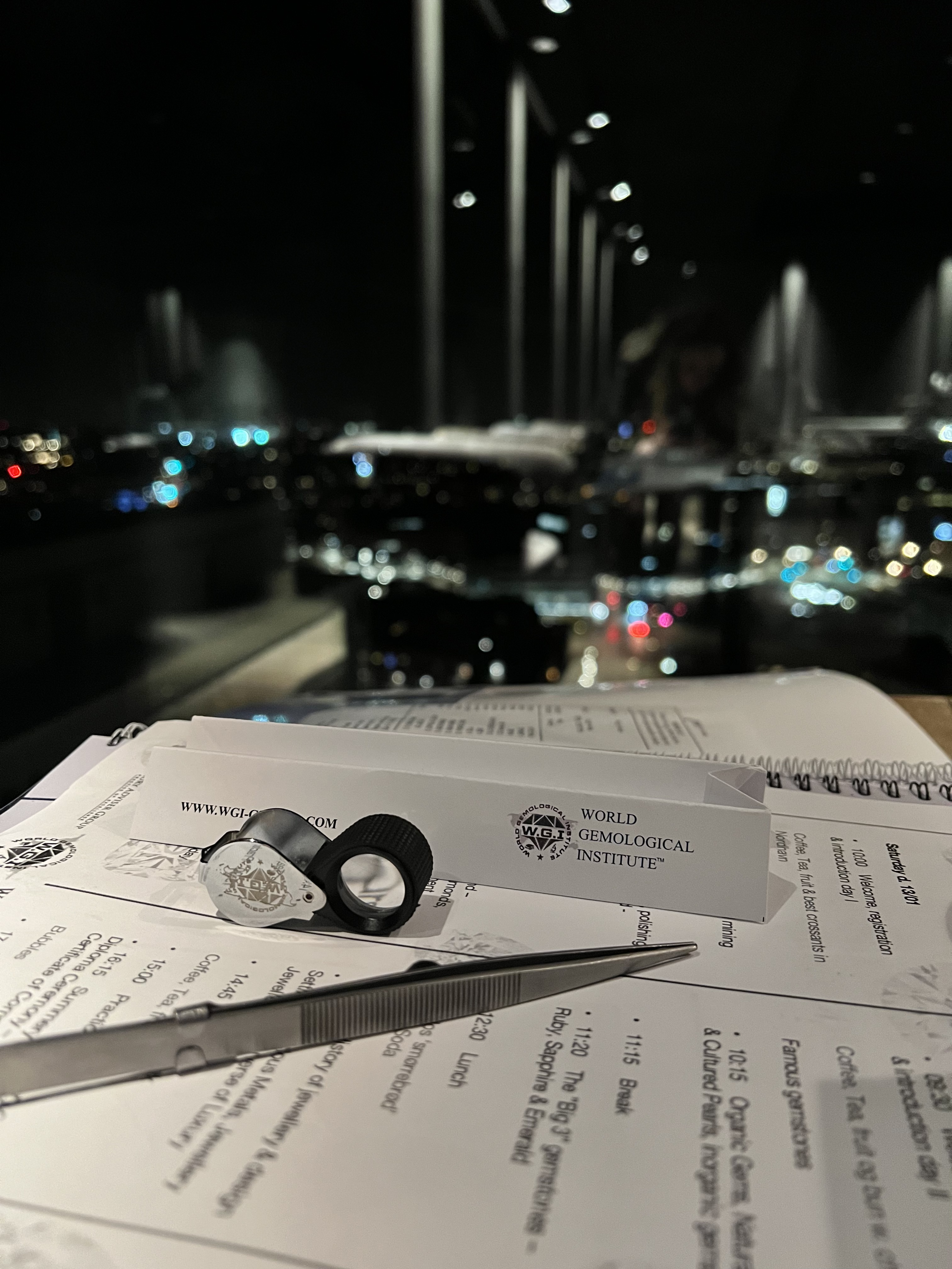 Lup, pincet og WGI-materiale på programmet med udsigt over byen om aftenen